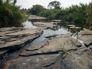 LA RIVIERE DES CREVETTES