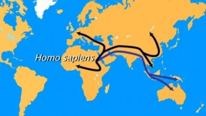 En violet, la route suivie il y a 70 000 ans par les ancêtres des Aborigènes. En noir, la migration plus tardive vers l'Europe et l'ensemble du continent asiatique.© Universcience 