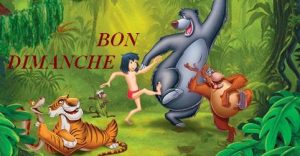 le-livre-de-la-jungle-disney-culteBIS