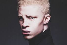 shaun ross mannequin