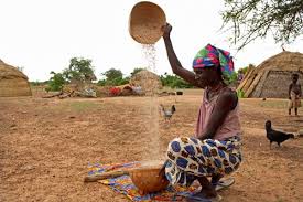 la-femme-de-laine-de-hamadou