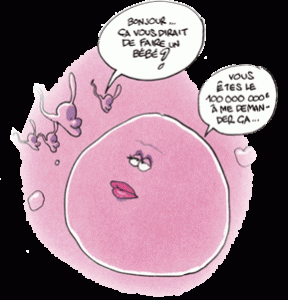 illustr_ovule